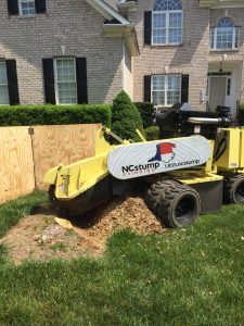 cost of stump grinding