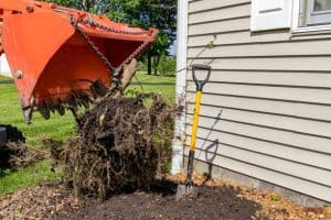 manual shrub removal