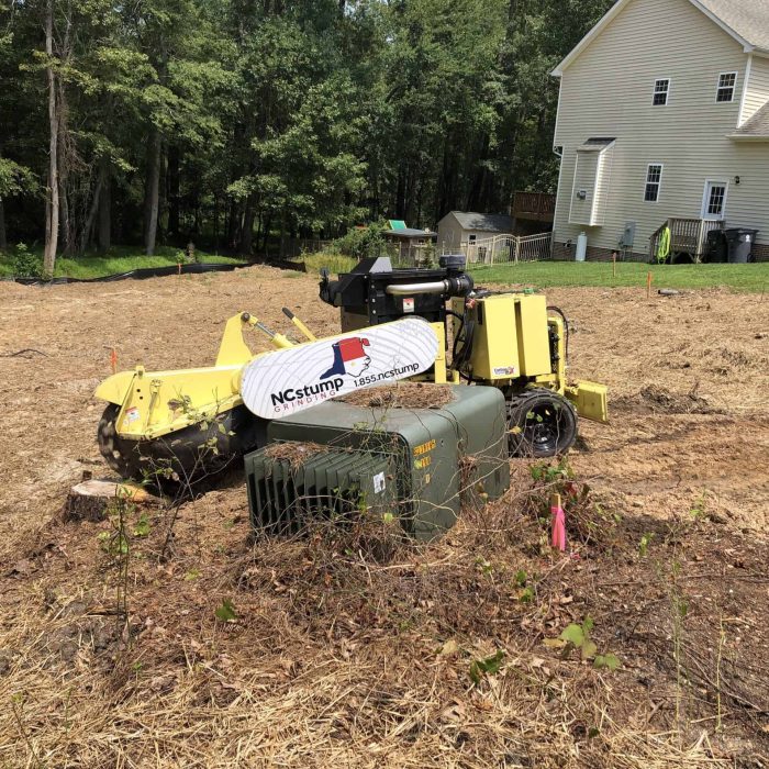 shrub removal